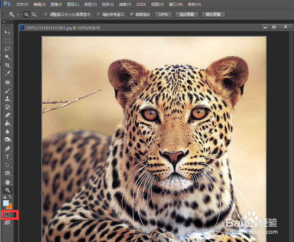 复杂背景下ps如何快速抠图换背景？蒙版快速抠图