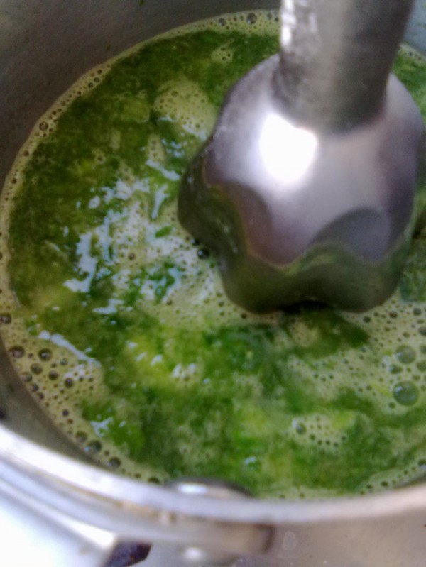 春绿湖畔闻松香