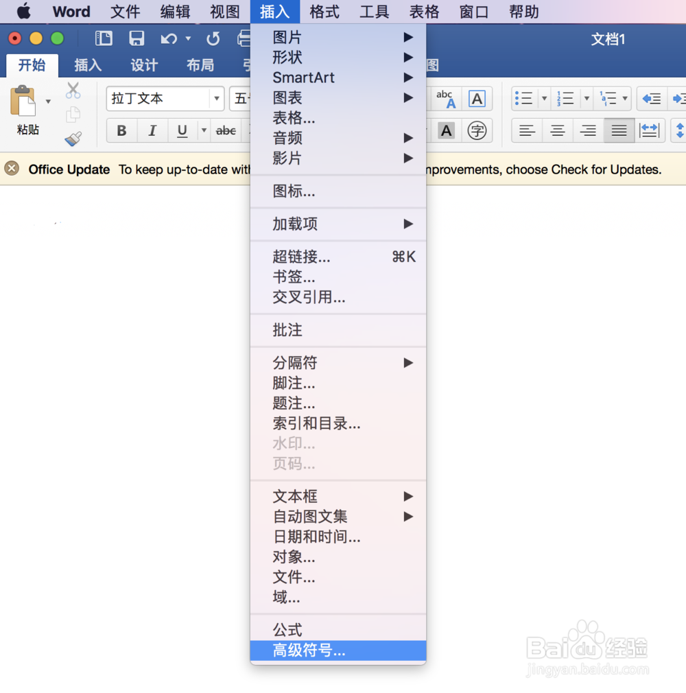 Microsoft Word 插入特殊字符