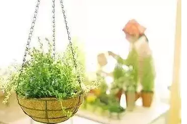 过期牛奶扔的用途