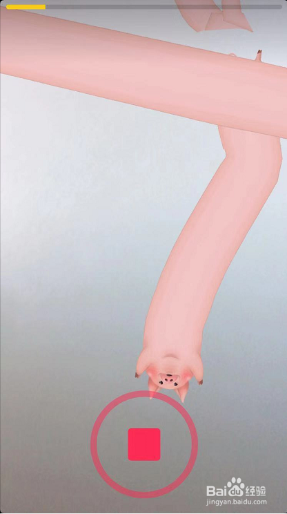 抖音AR画猪怎么玩