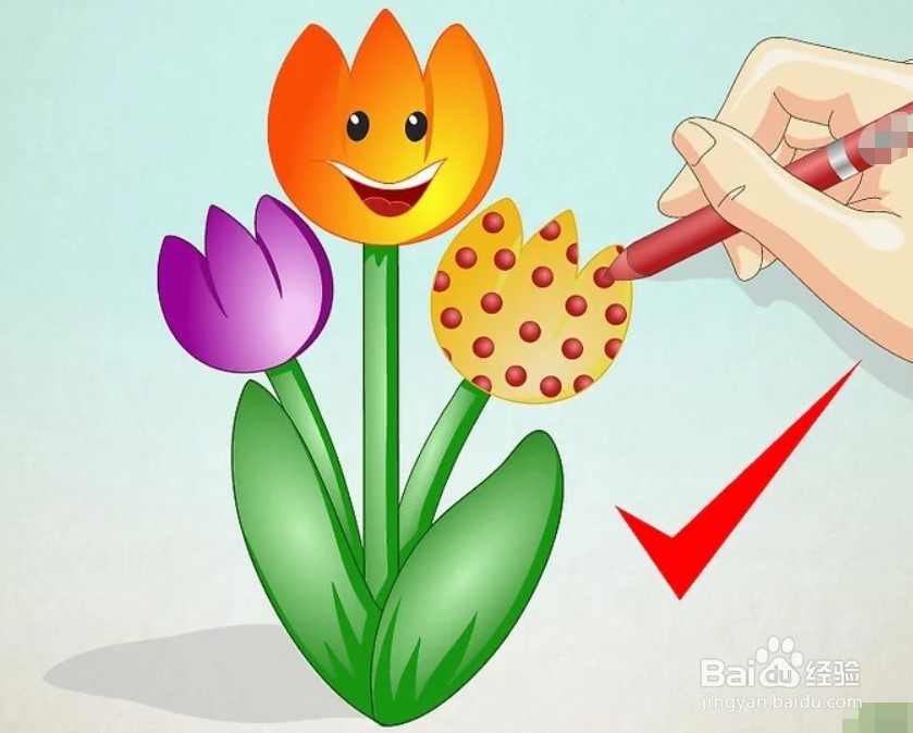 如何画卡通郁金香？