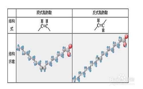 反式脂肪酸结构图图片