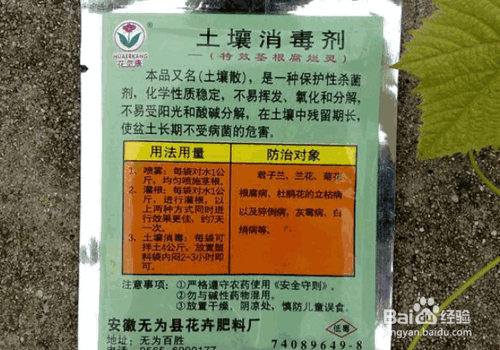 树木栽植中各类养护药剂的应用技术