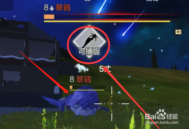 糯康怎么捉到的
