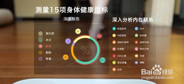 运动减肥概述