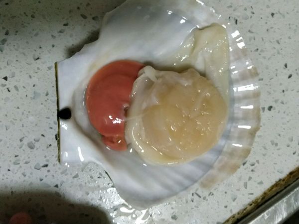 蒜蓉粉丝蒸扇贝