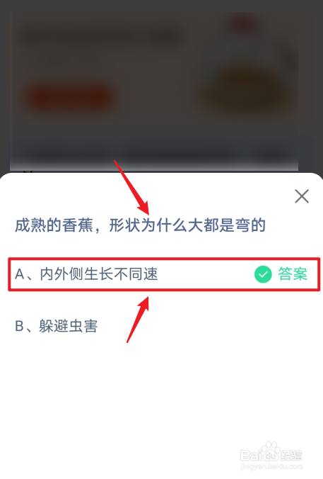 蚂蚁庄园小课堂成熟的香蕉为什么是弯的