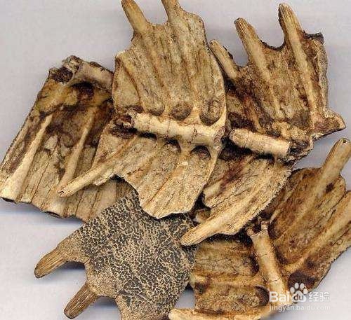 正常通气却嗅觉失灵