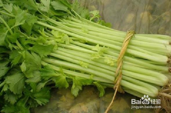 吃芹菜的注意事项