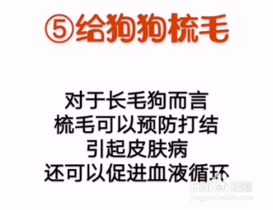 如何让狗狗变得更健康