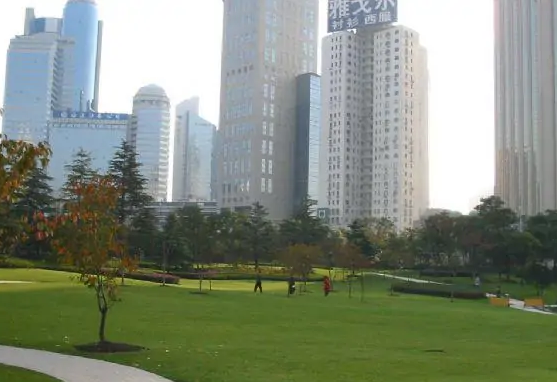 生态城市的特征包括什么