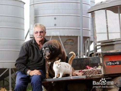 世界最老狗狗高龄过世,忠心看守农场到最后!!