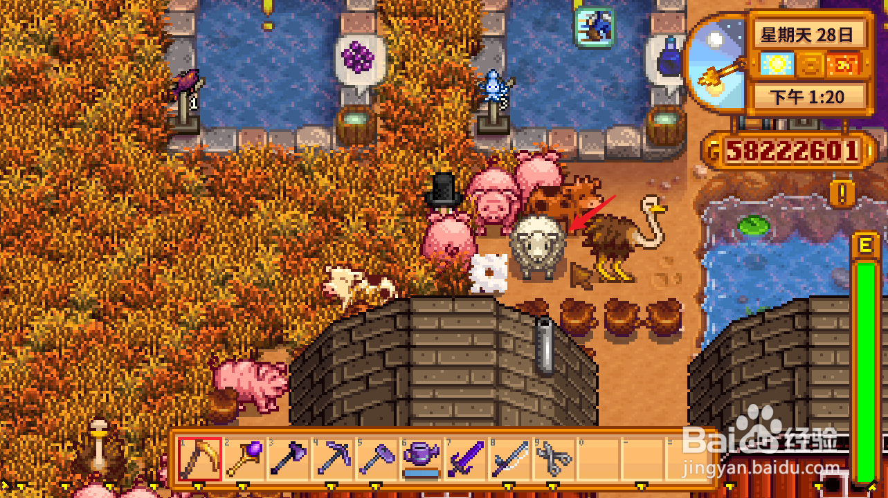 星露谷物语动物毛怎么获得