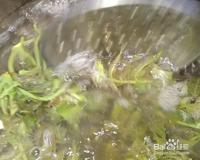 细腻美味的香椿芽拌豆腐