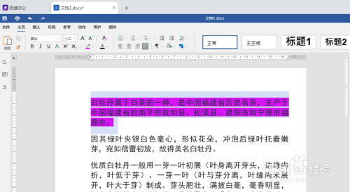 Word怎么把文字内容进行高亮显示