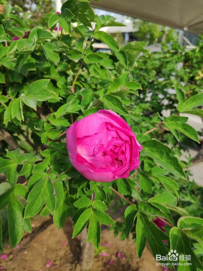 如何获得女生的好感