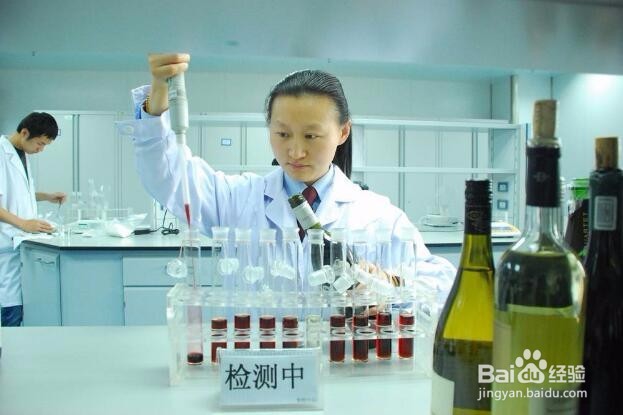 深圳蛇口港进口法国红酒清关流程简介分享