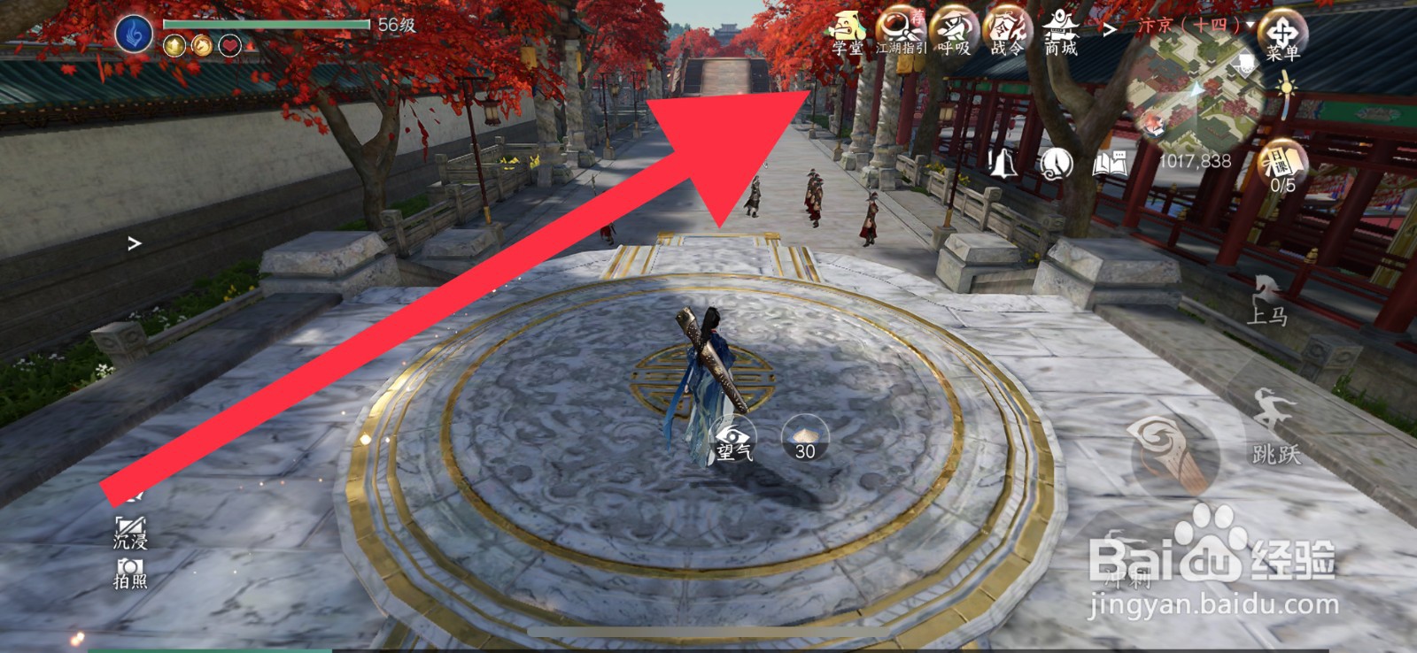 逆水寒手游怎么获取跳跳鸡坐骑