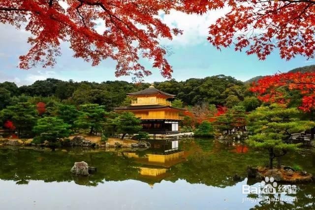 新西兰自由行全攻略