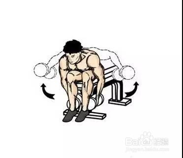 只需一对哑铃,在家锻炼全身肌肉!