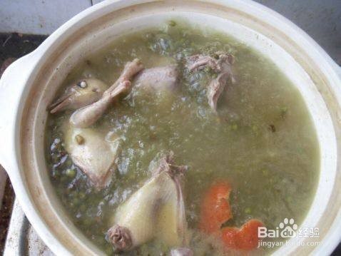 鸽子绿豆汤的做法与功效