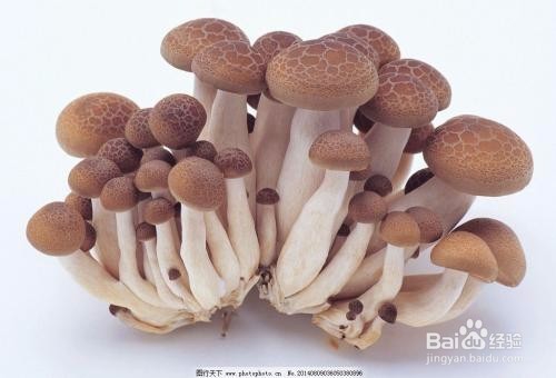 肝不好,这5种食物要多吃