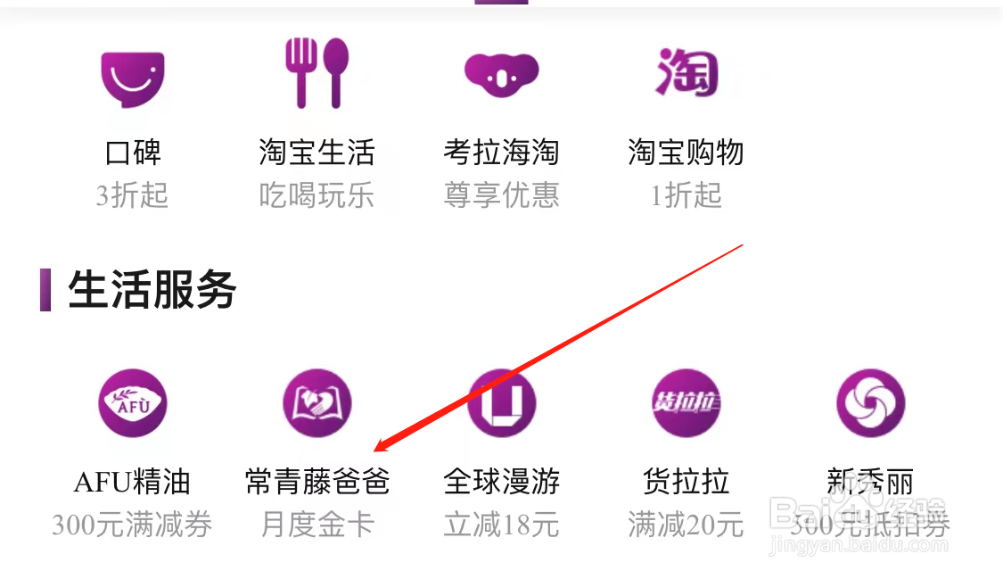 悦会YUEHUI查看常青藤爸爸