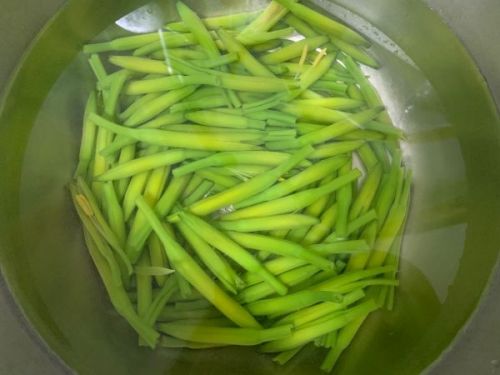 鲜黄花菜炒鸡蛋