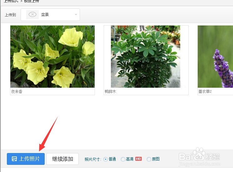 QQ空间相册如何上传照片
