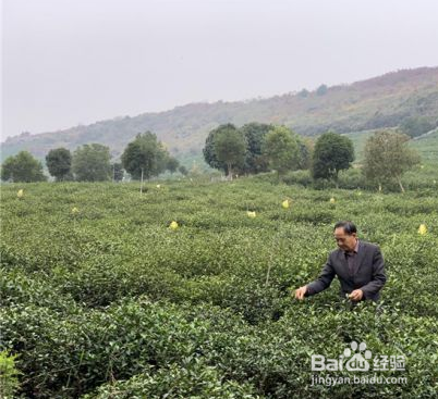 可降解防草布使用做多可以使用几年
