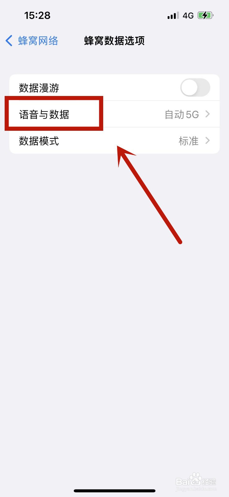 iphone13如何启用5G
