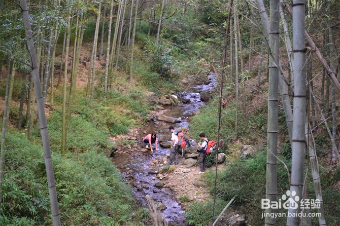 秋天出去旅游需要注意哪些问题