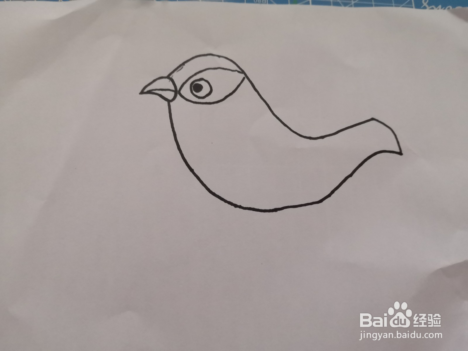 可爱的黄鹂鸟画法