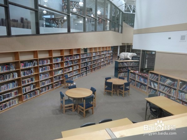 丘吉尔镇,在北极熊的自由和不自由间的选择