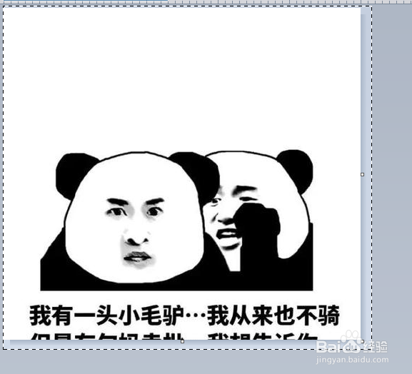 如何复制图片上的文字内容