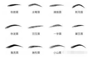 几乎没有眉毛怎么办