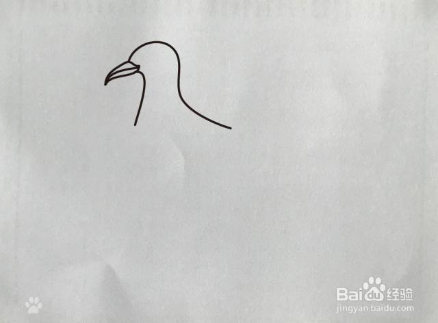 【简笔画】海鸥的画法[图]