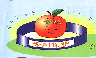 合肥专利申请详细步骤/专利申请费用/在哪办理
