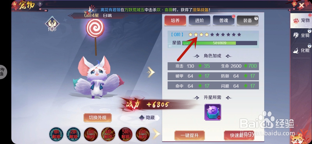 天姬变手游怎么升星宠物