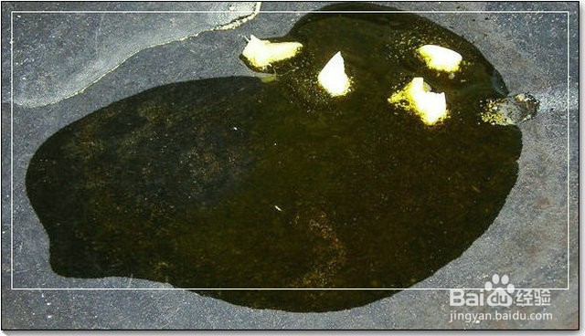 原创:如何做葱油花蛤