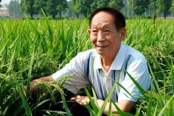 获得共和国勋章的人有哪些
