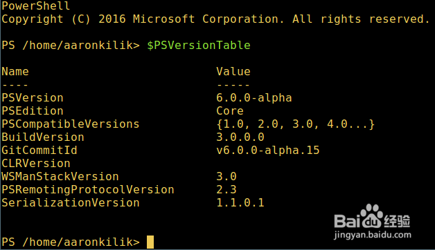 在 Linux 上安装 Powershell