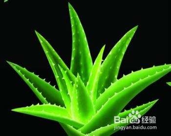 快速祛痘诀窍：让生活更健康！