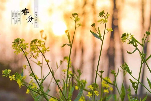地理上春分秋分、冬至夏至，分别是几月几日