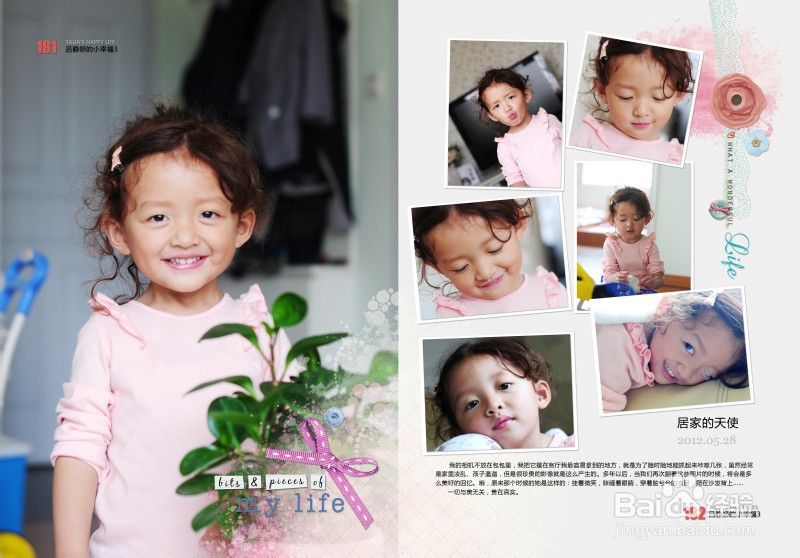 生活画册基本概念入门之内容分类篇