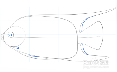 如何画女王神仙鱼