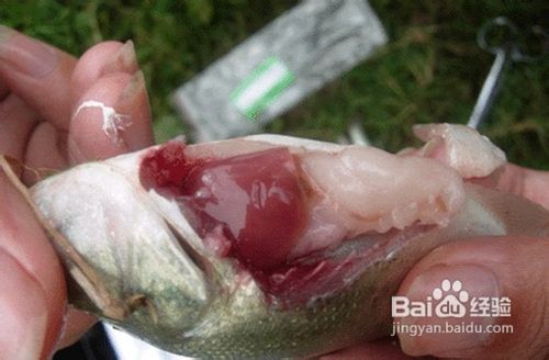 去除鱼腥味的方法大全