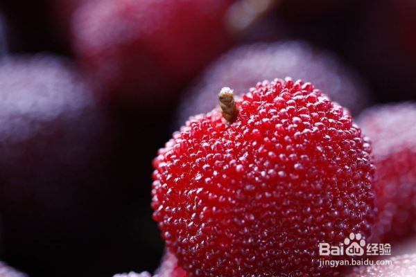 杨梅吃多了怎么办