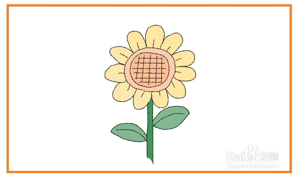 太阳花怎么描绘